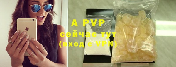 стафф Новозыбков