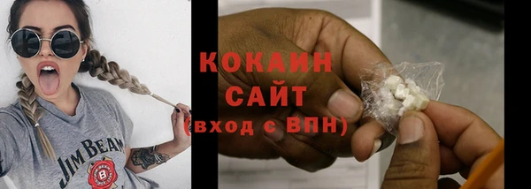 стафф Новозыбков