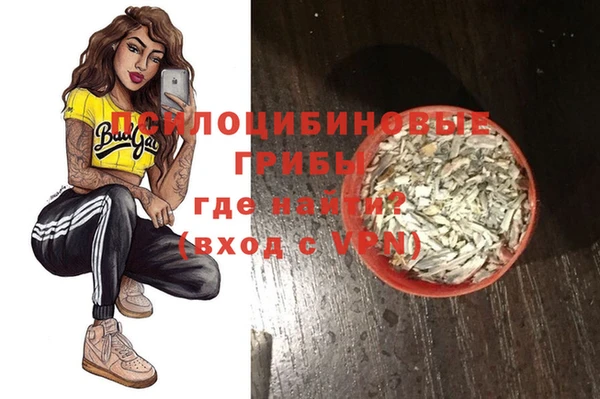 стафф Новозыбков