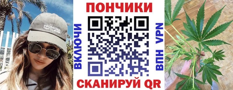где купить наркотик  Руза  Шишки марихуана SATIVA & INDICA 